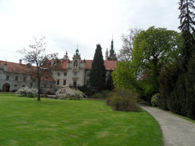 picture